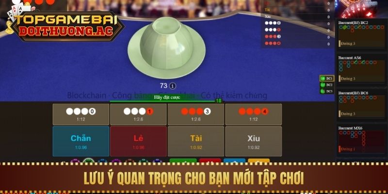 Lưu ý quan trọng cho bạn mới tập chơi