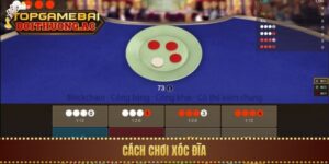 Hướng Dẫn Cách Chơi Xóc Đĩa Online Cho Người Mới
